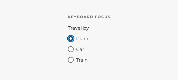 Keyboard focus initiated on a radio button, as described in the caption.